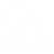 Icon Elections